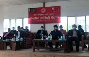 नेकपा एमालेको विधान संशोधन प्रस्तावमा केन्द्रीय समितिको संख्या २२५ जना हुने प्रस्ताव