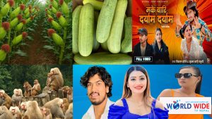 मकै र काक्रो जती सके बाँदरको टिम (एलिना रायमाझी, बिशाल शोनी, सुश्मा शाही “ठकुरी”) ले (भिडियो ट्रेडिङ नं १ मा)